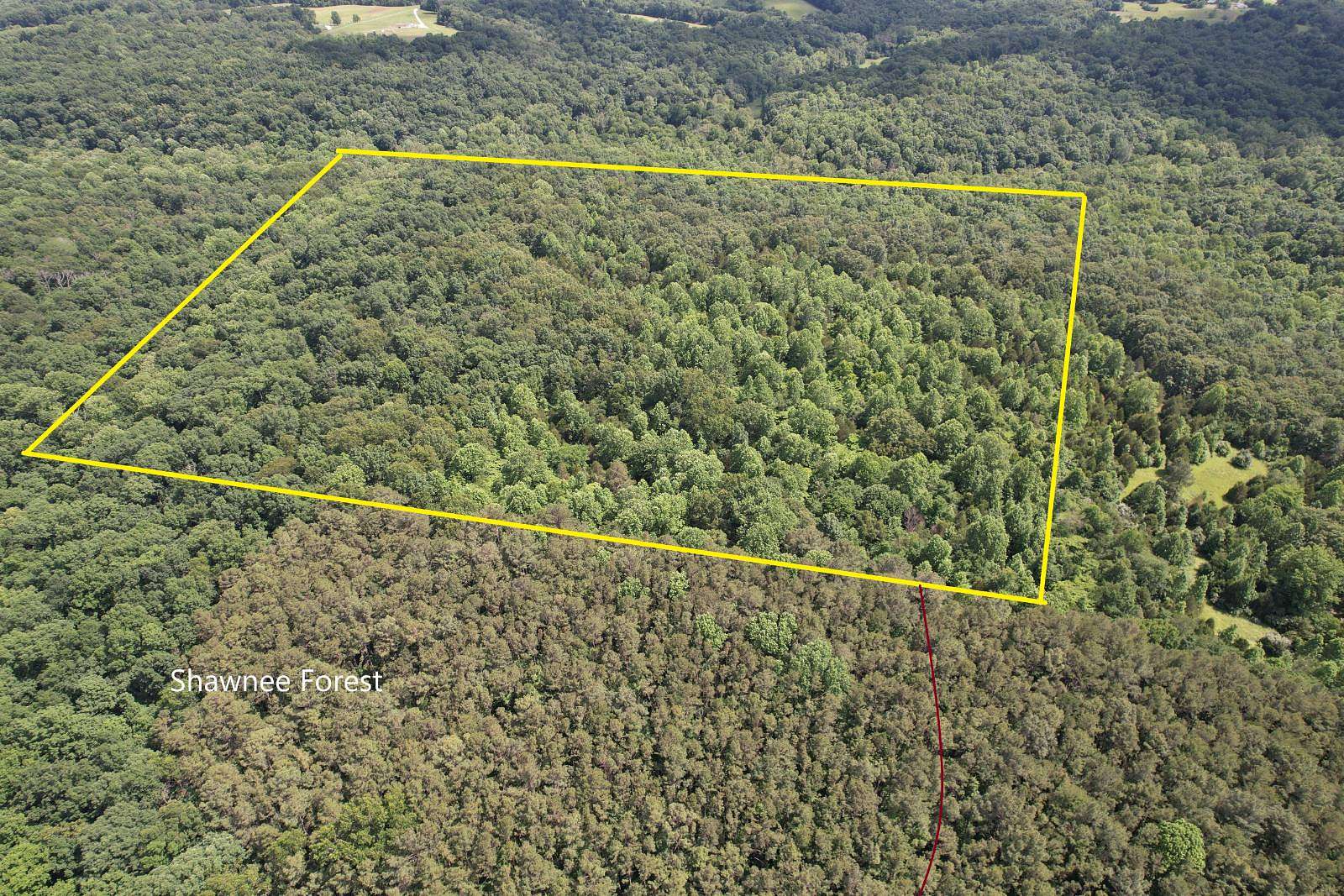 42 Acres of Land for Sale in Creal Springs, Illinois