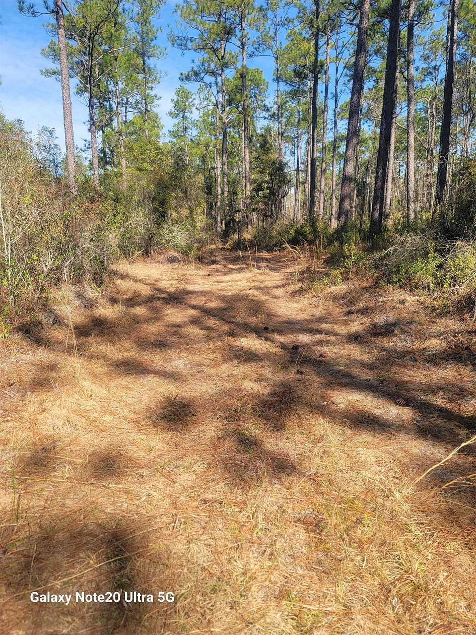 44.6 Acres of Land for Sale in Tallahassee, Florida