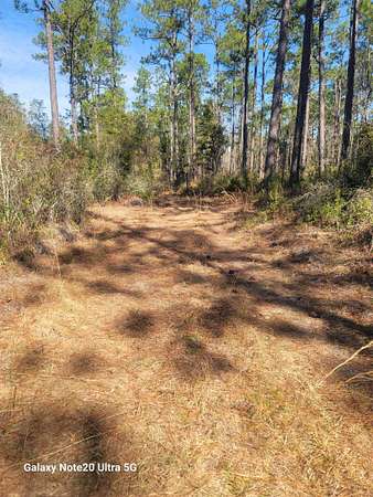 44.6 Acres of Land for Sale in Tallahassee, Florida