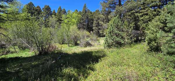 20 Acres of Recreational & Residential Land for Sale in Boulder, Montana