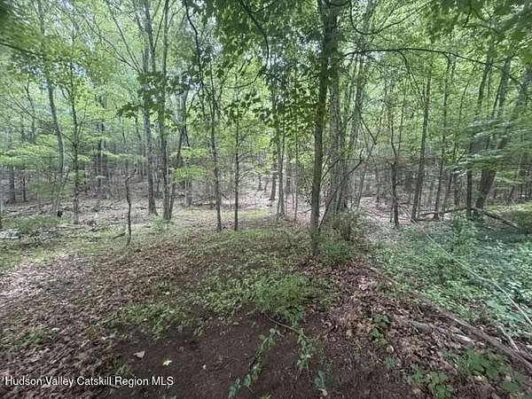0.58 Acres of Residential Land for Sale in Saugerties, New York