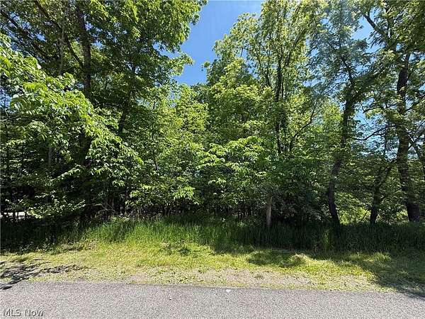 0.45 Acres of Residential Land for Sale in Malvern, Ohio