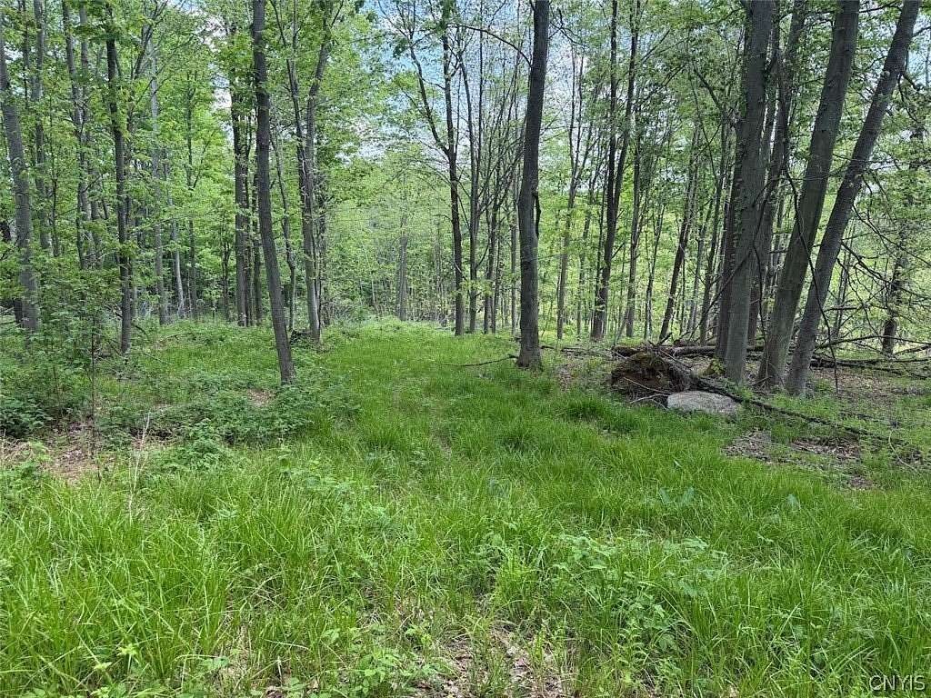 23 Acres of Recreational & Residential Land for Sale in South Dayton, New York
