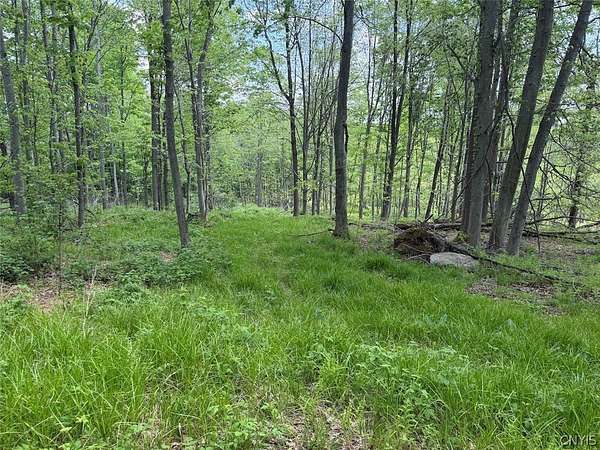 23 Acres of Recreational & Residential Land for Sale in South Dayton, New York