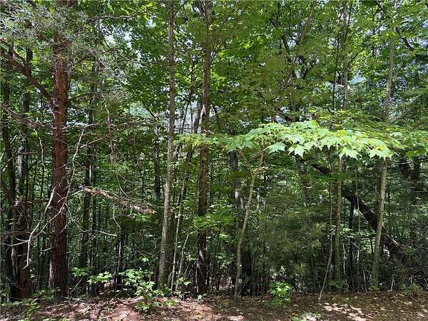 5.2 Acres of Residential Land for Sale in Purlear, North Carolina