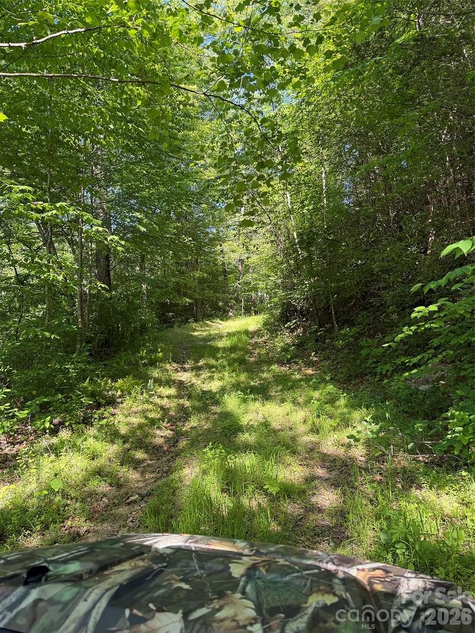 31.6 Acres of Recreational & Residential Land for Sale in Old Fort, North Carolina
