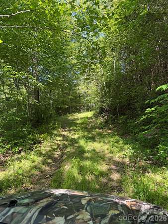 31.6 Acres of Recreational & Residential Land for Sale in Old Fort, North Carolina