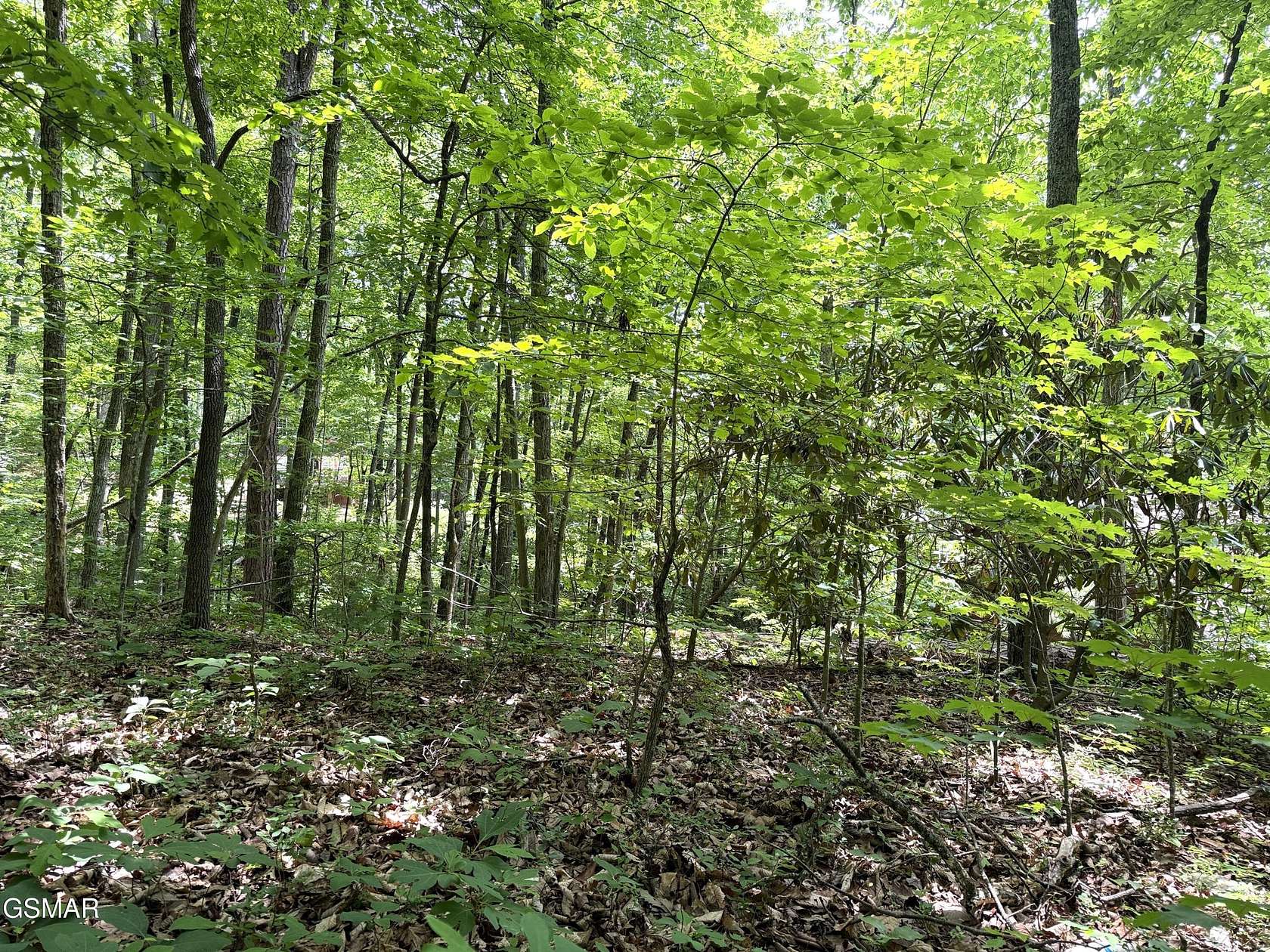 0.3 Acres of Residential Land for Sale in Sevierville, Tennessee