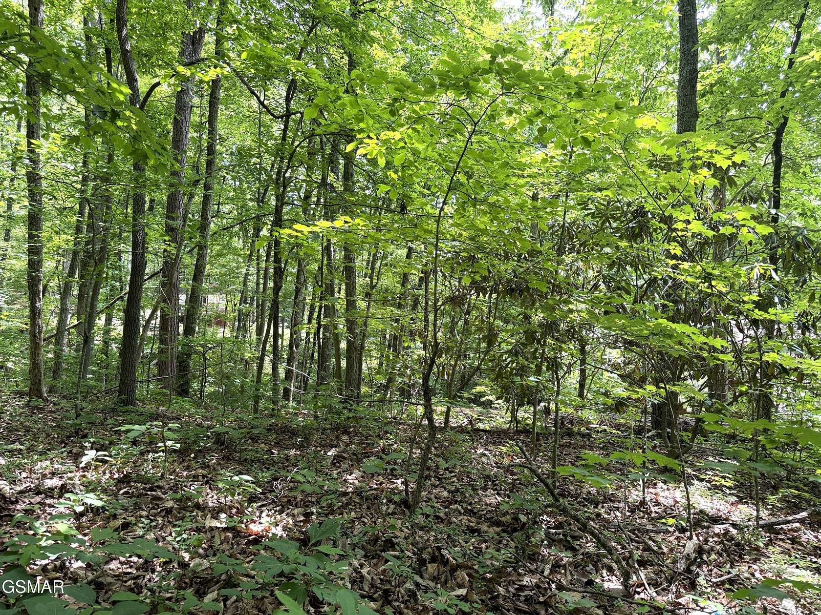 0.3 Acres of Residential Land for Sale in Sevierville, Tennessee