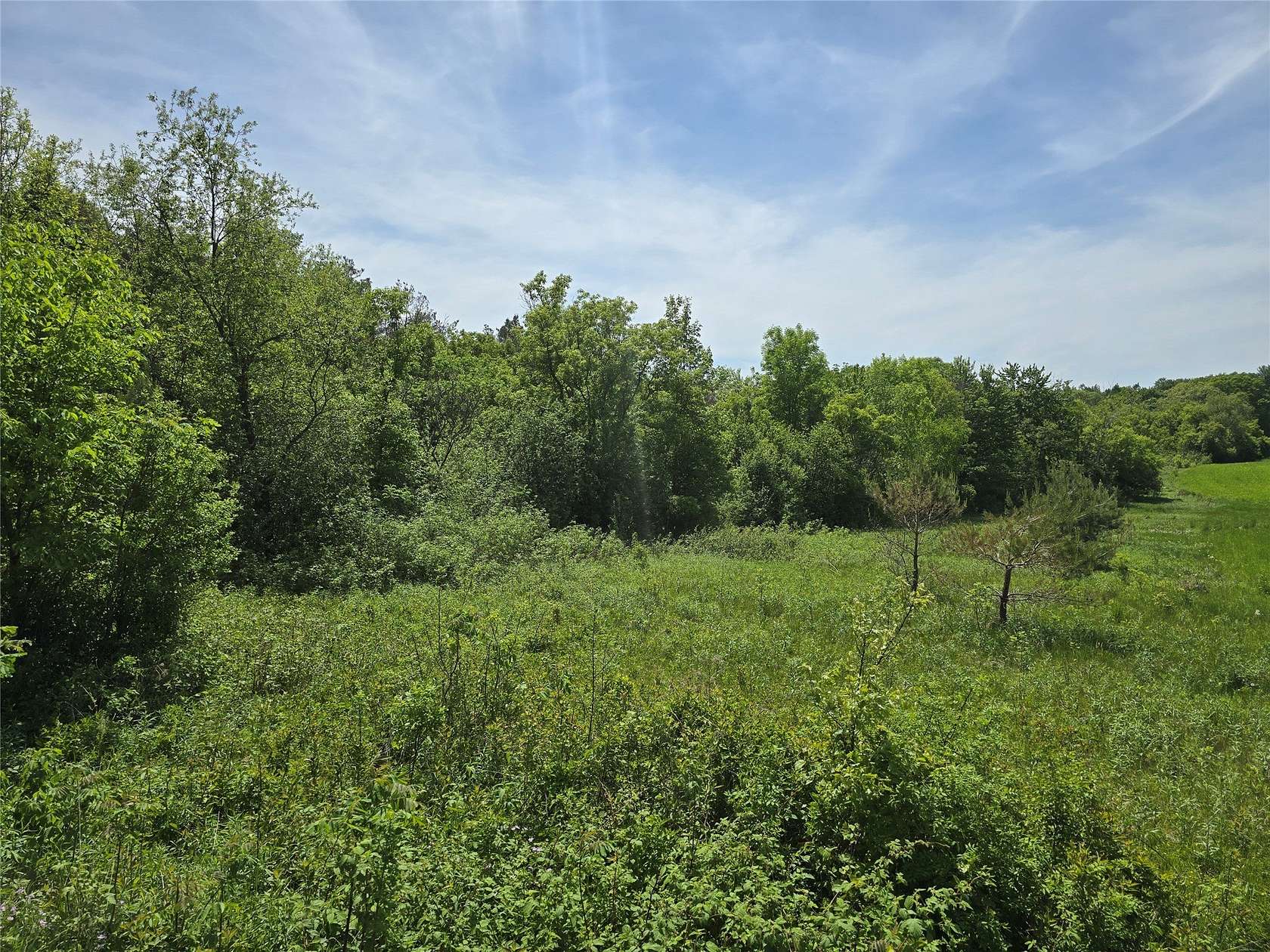 4 Acres of Land for Sale in Chetek, Wisconsin