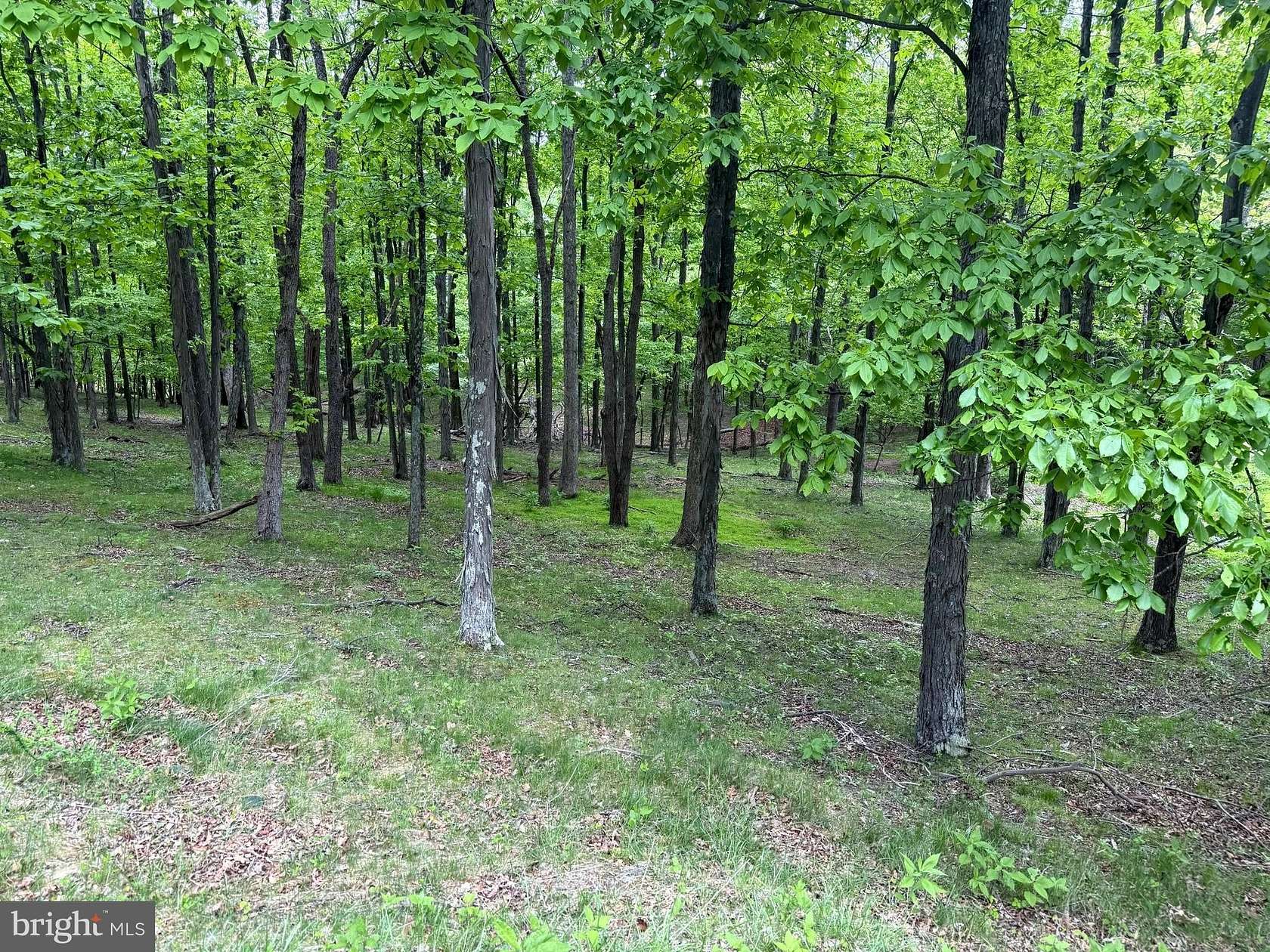 10.7 Acres of Recreational & Residential Land for Sale in New Creek, West Virginia