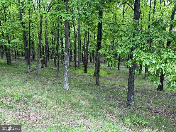 10.7 Acres of Recreational & Residential Land for Sale in New Creek, West Virginia