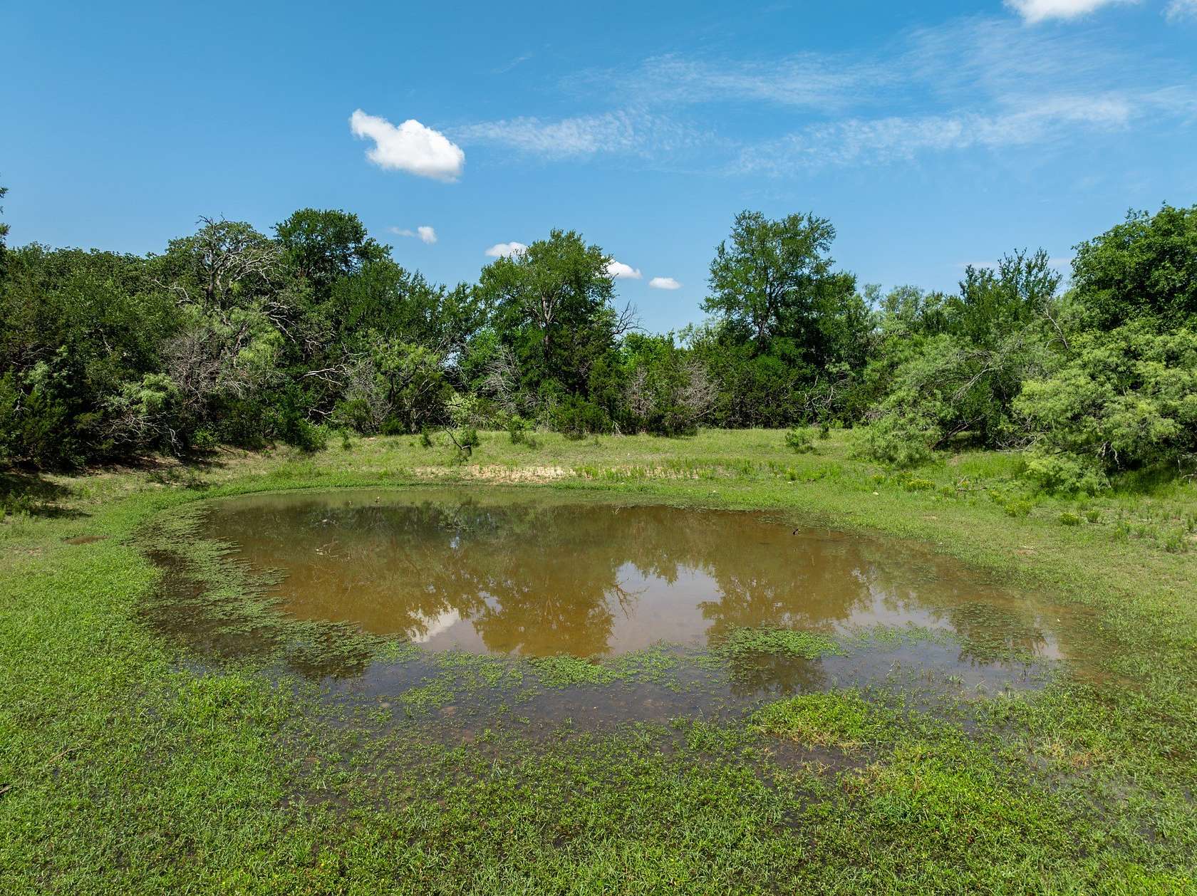55.2 Acres of Land for Sale in Whitney, Texas