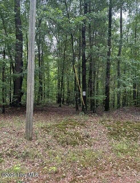 12.4 Acres of Recreational Land for Sale in Sparta, Georgia