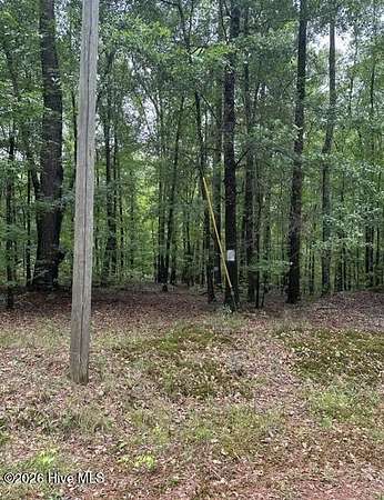 12.4 Acres of Recreational Land for Sale in Sparta, Georgia