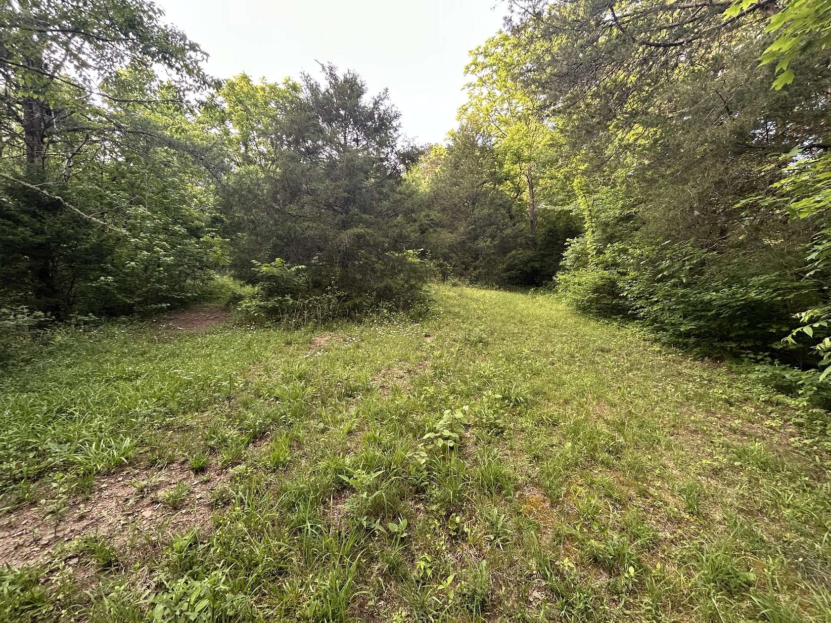 91.8 Acres of Recreational Land for Sale in Sneedville, Tennessee