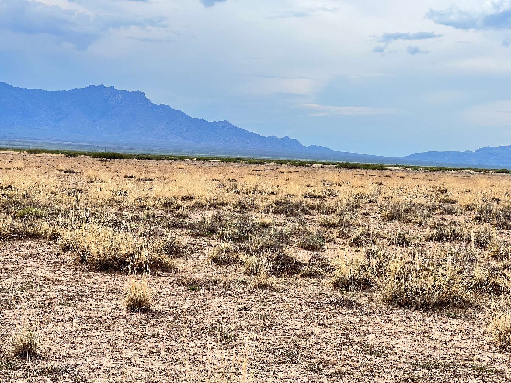 1 Acre of Residential Land for Sale in Deming, New Mexico