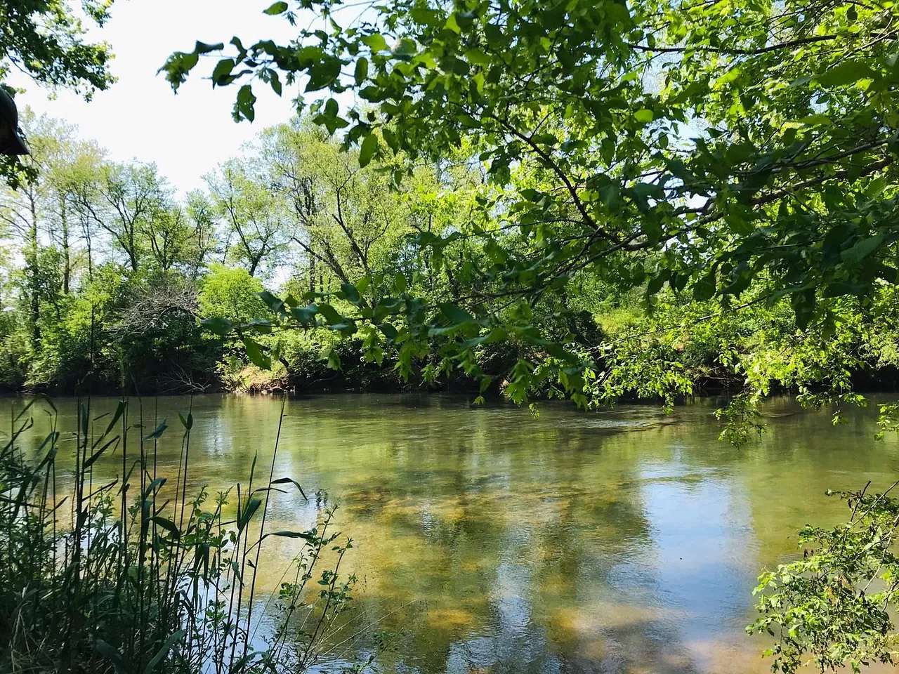 25.5 Acres of Recreational & Residential Land for Sale in Troy, Virginia