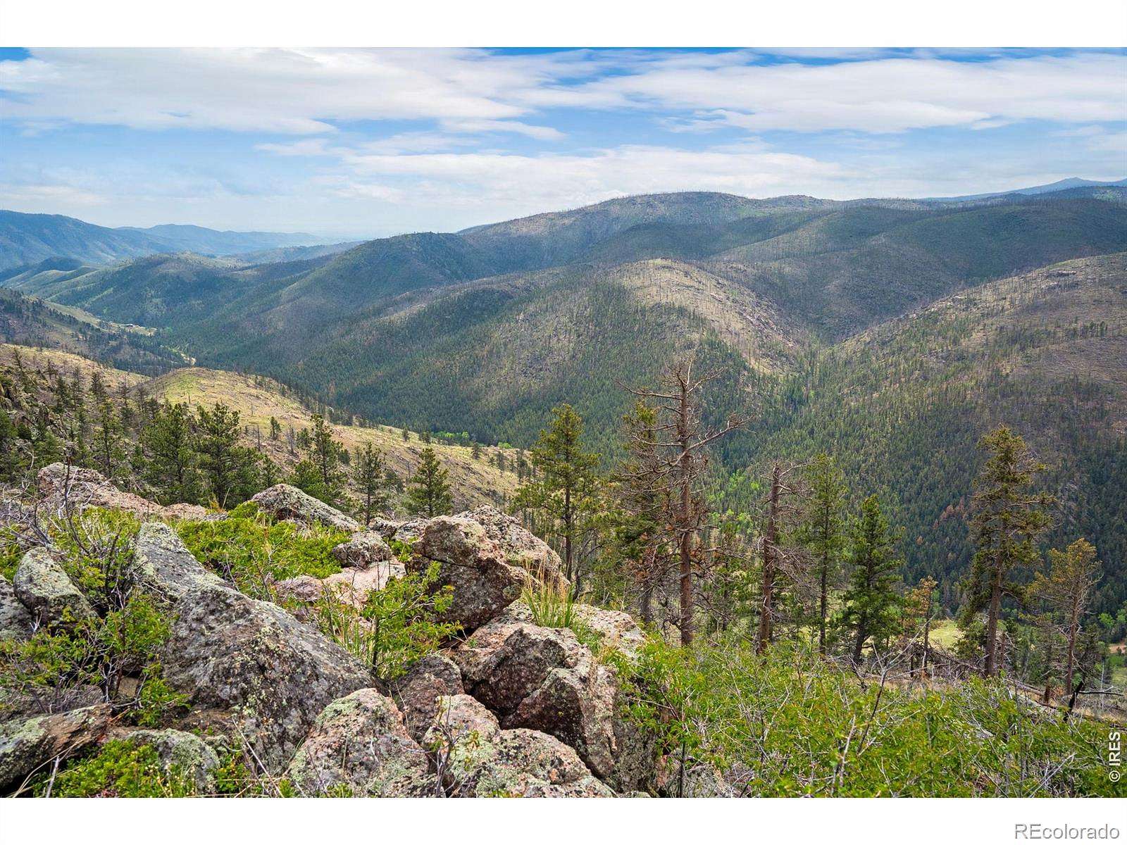 40 Acres of Recreational & Residential Land for Sale in Bellvue, Colorado