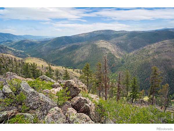 40 Acres of Recreational & Residential Land for Sale in Bellvue, Colorado