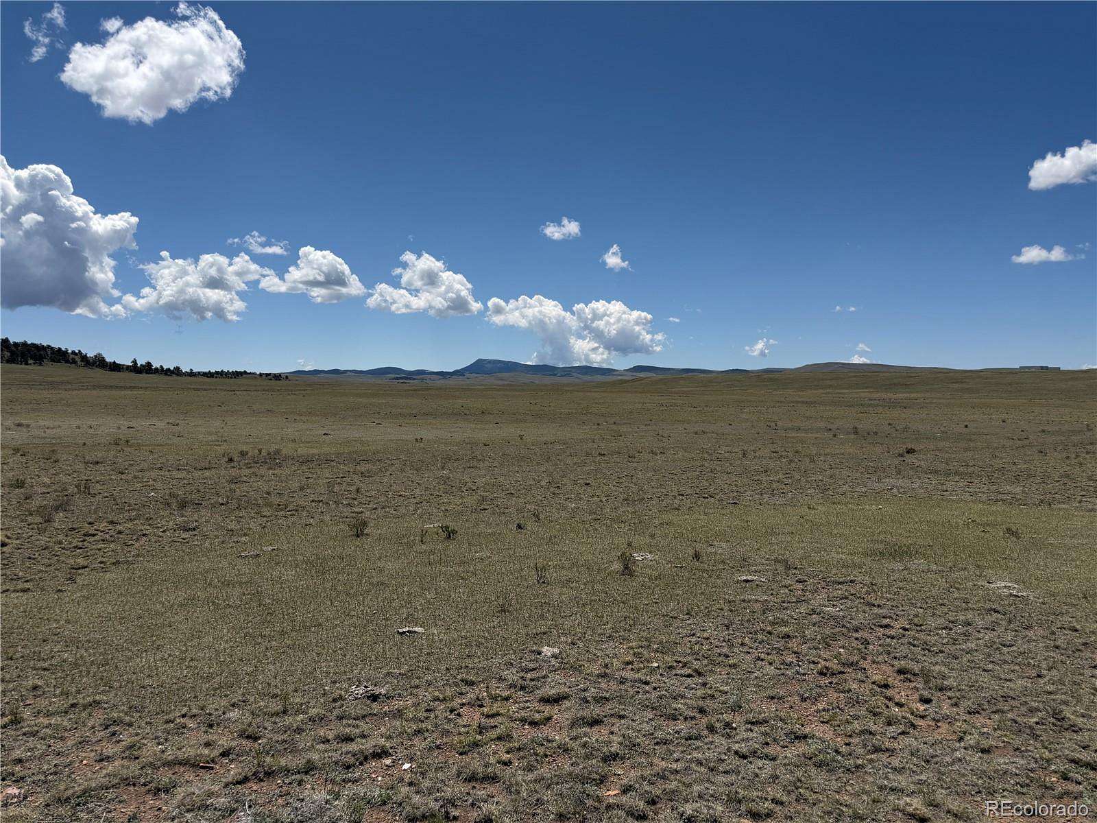 5.3 Acres of Residential Land for Sale in Hartsel, Colorado