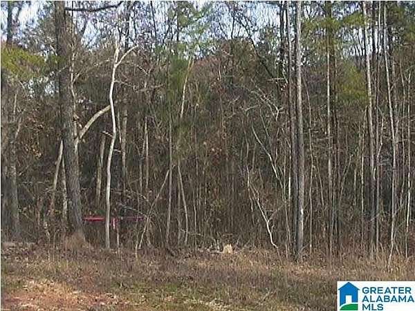 0.64 Acres of Land for Sale in Chelsea, Alabama
