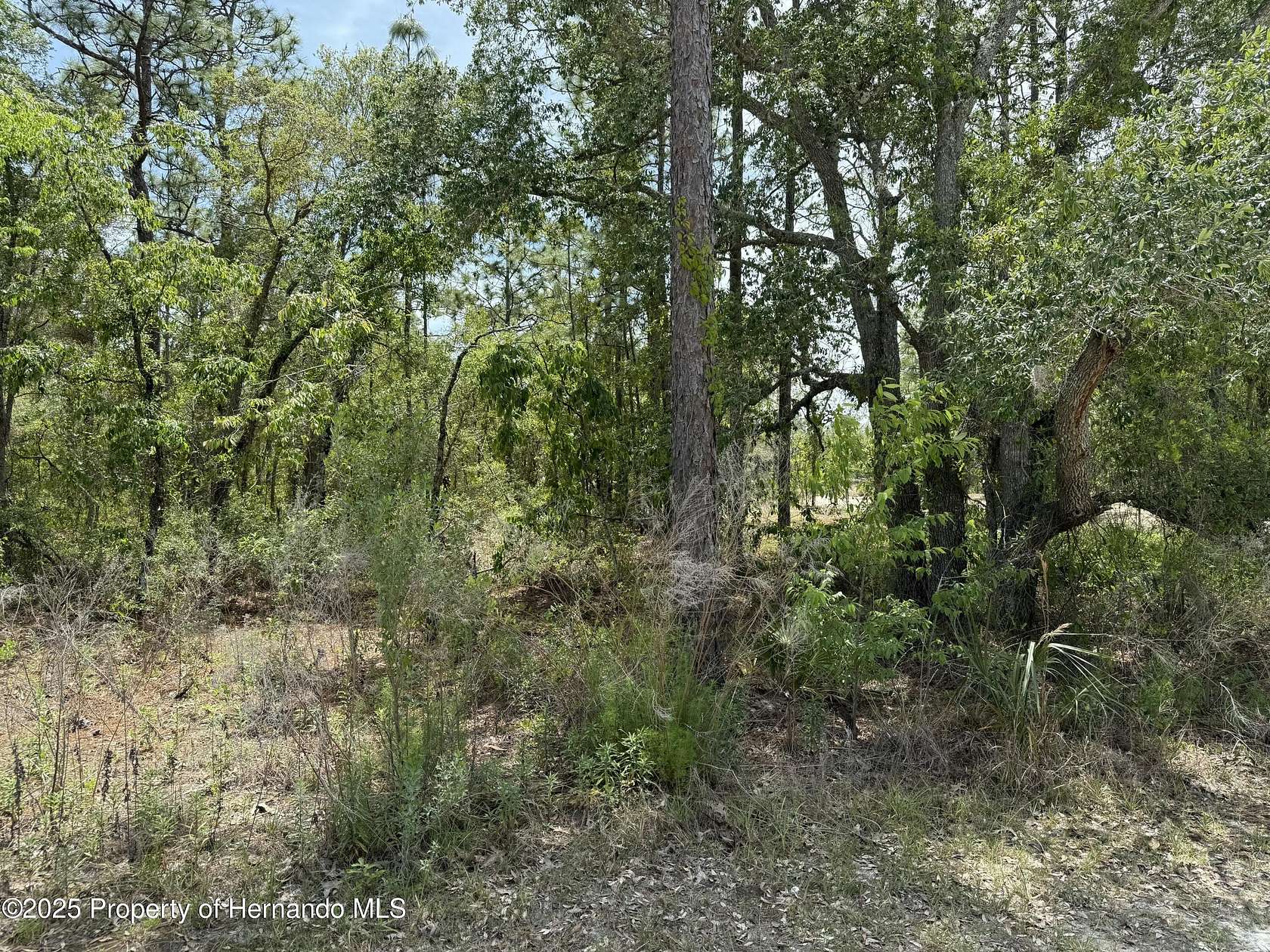 0.5 Acres of Residential Land for Sale in Weeki Wachee, Florida
