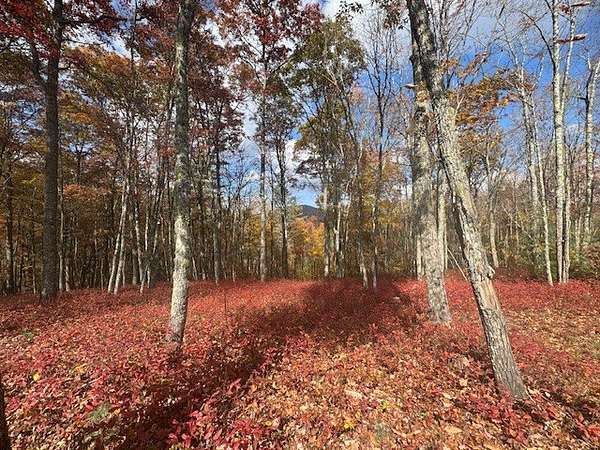 2.2 Acres of Residential Land for Sale in Glenville, North Carolina