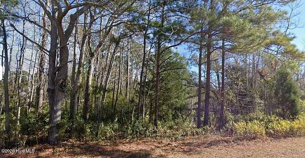 0.74 Acres of Residential Land for Sale in Shallotte, North Carolina