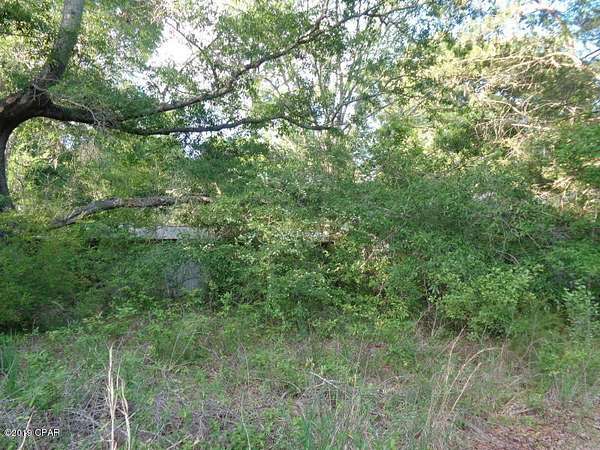 7 Acres of Residential Land for Sale in Graceville, Florida