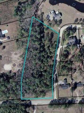 4 Acres of Residential Land for Sale in Homerville, Georgia