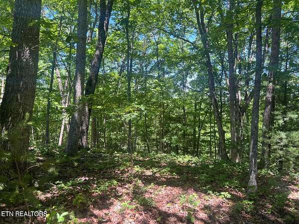 0.7 Acres of Residential Land for Sale in Crossville, Tennessee