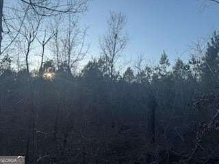 52.2 Acres of Recreational & Residential Land for Sale in Molena, Georgia