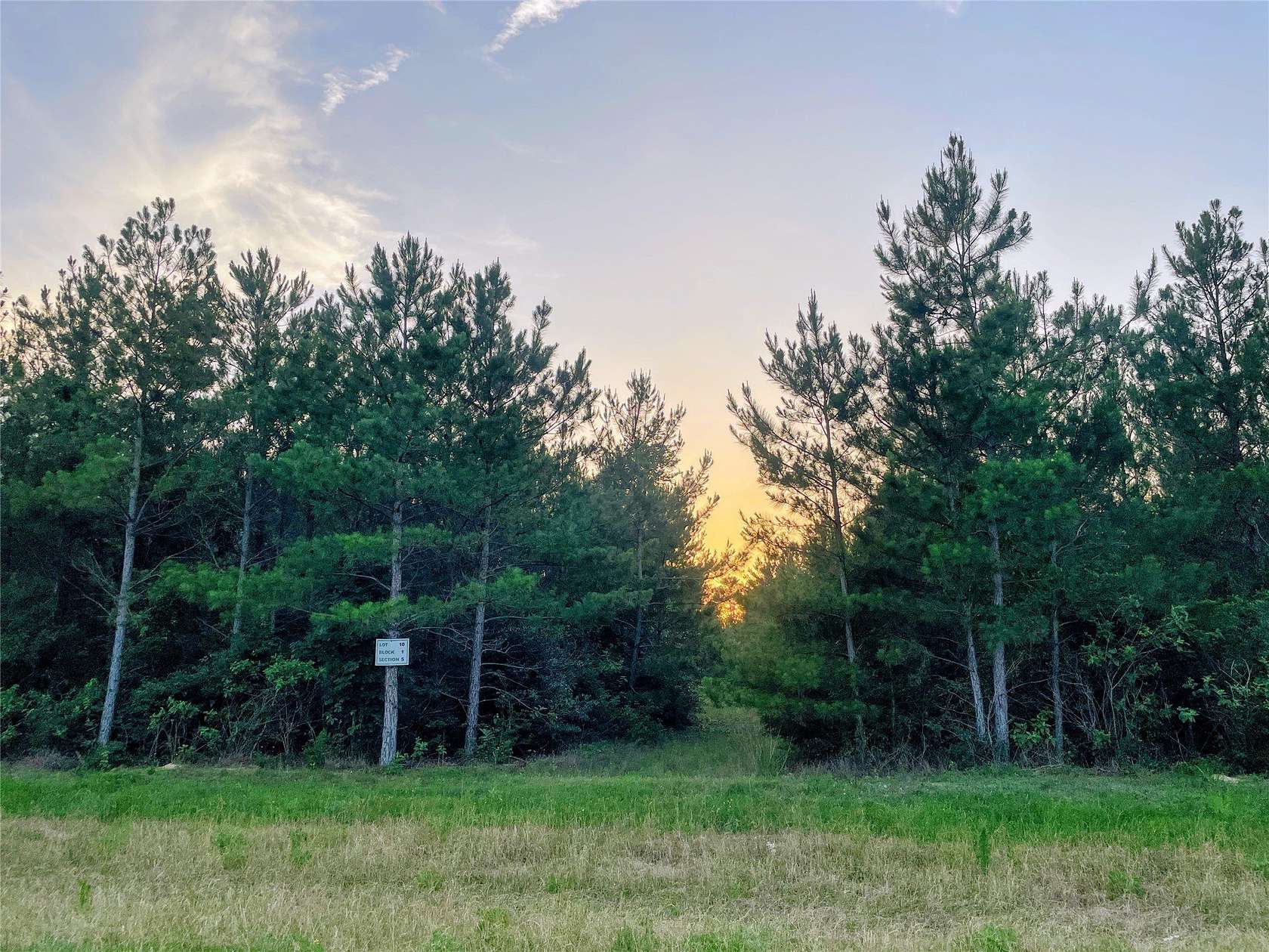 3 Acres of Residential Land for Sale in Willis, Texas