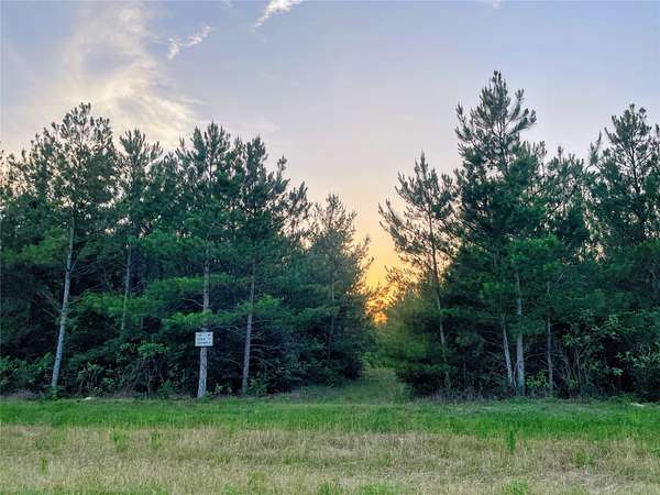 3 Acres of Residential Land for Sale in Willis, Texas