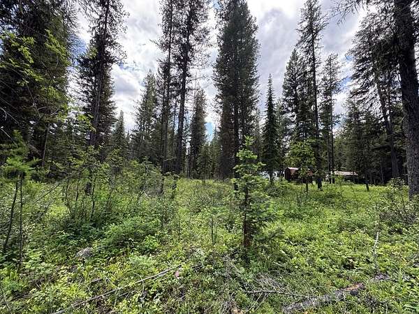 1.6 Acres of Residential Land for Sale in Polebridge, Montana