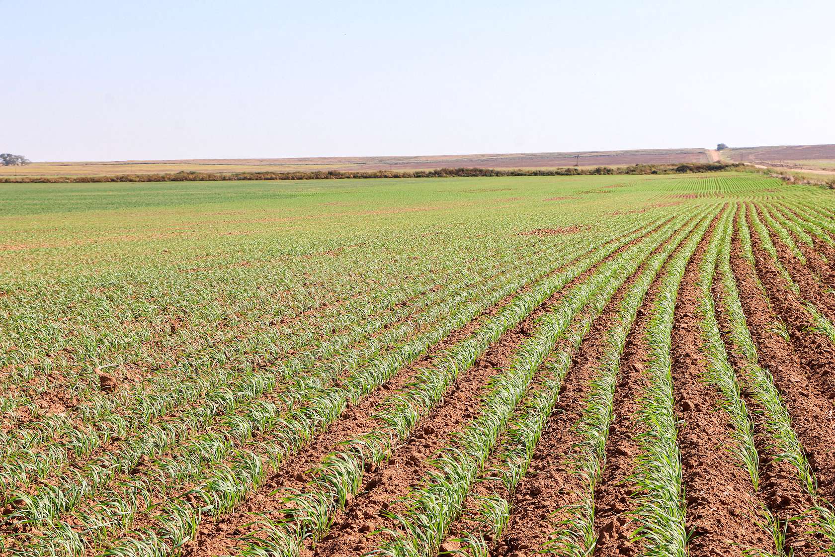1,509 Acres of Agricultural Land for Sale in Attica, Kansas