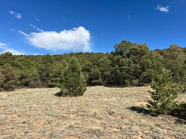39 Acres of Land for Sale in Walsenburg, Colorado