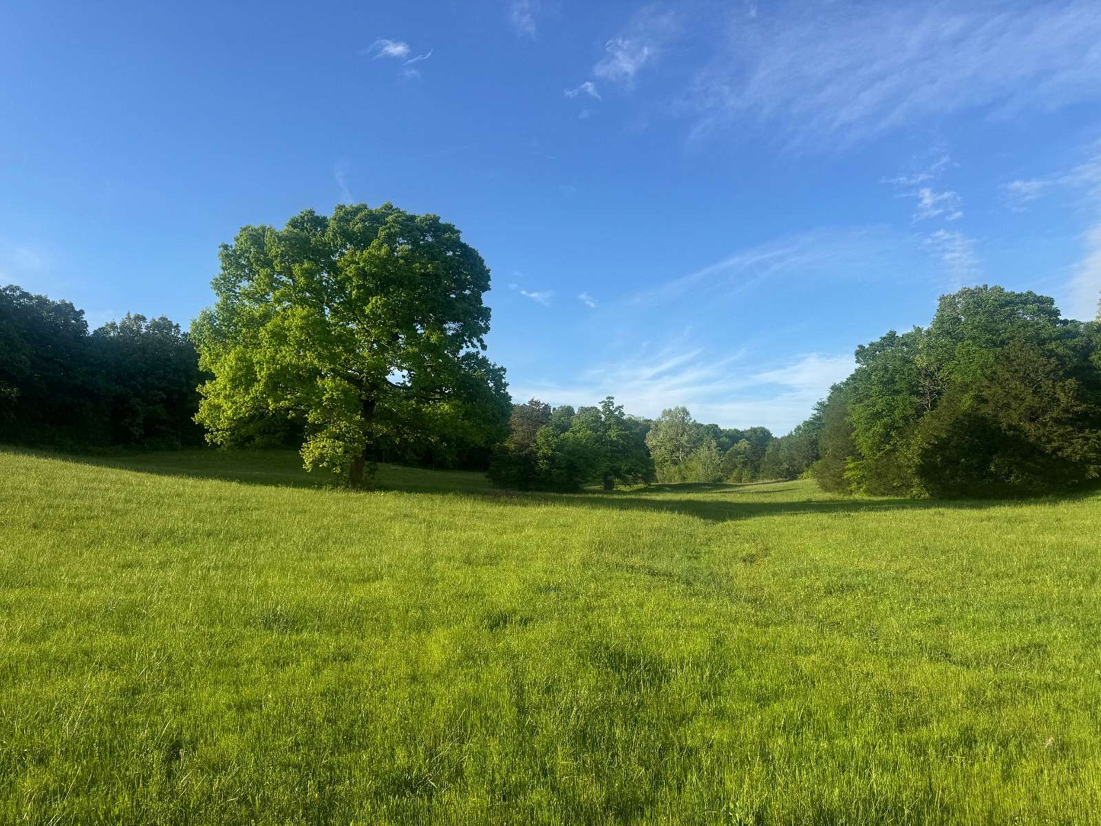 60 Acres of Recreational Land for Sale in Imboden, Arkansas