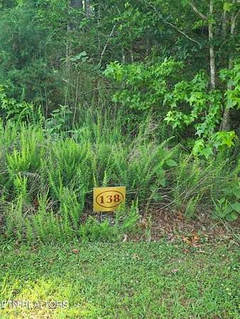 1 Acre of Residential Land for Sale in Rockwood, Tennessee