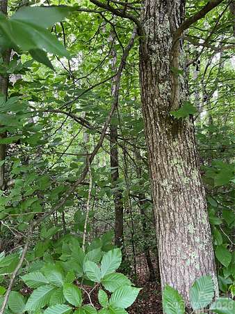2.88 Acres of Residential Land for Sale in Shelby, North Carolina