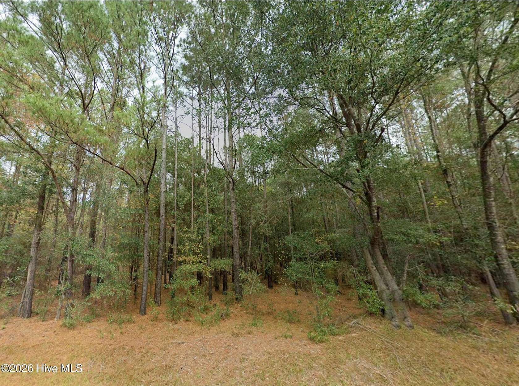 3 Acres of Residential Land for Sale in Willard, North Carolina