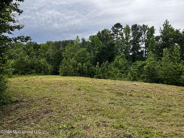 1.78 Acres of Residential Land for Sale in Wesson, Mississippi