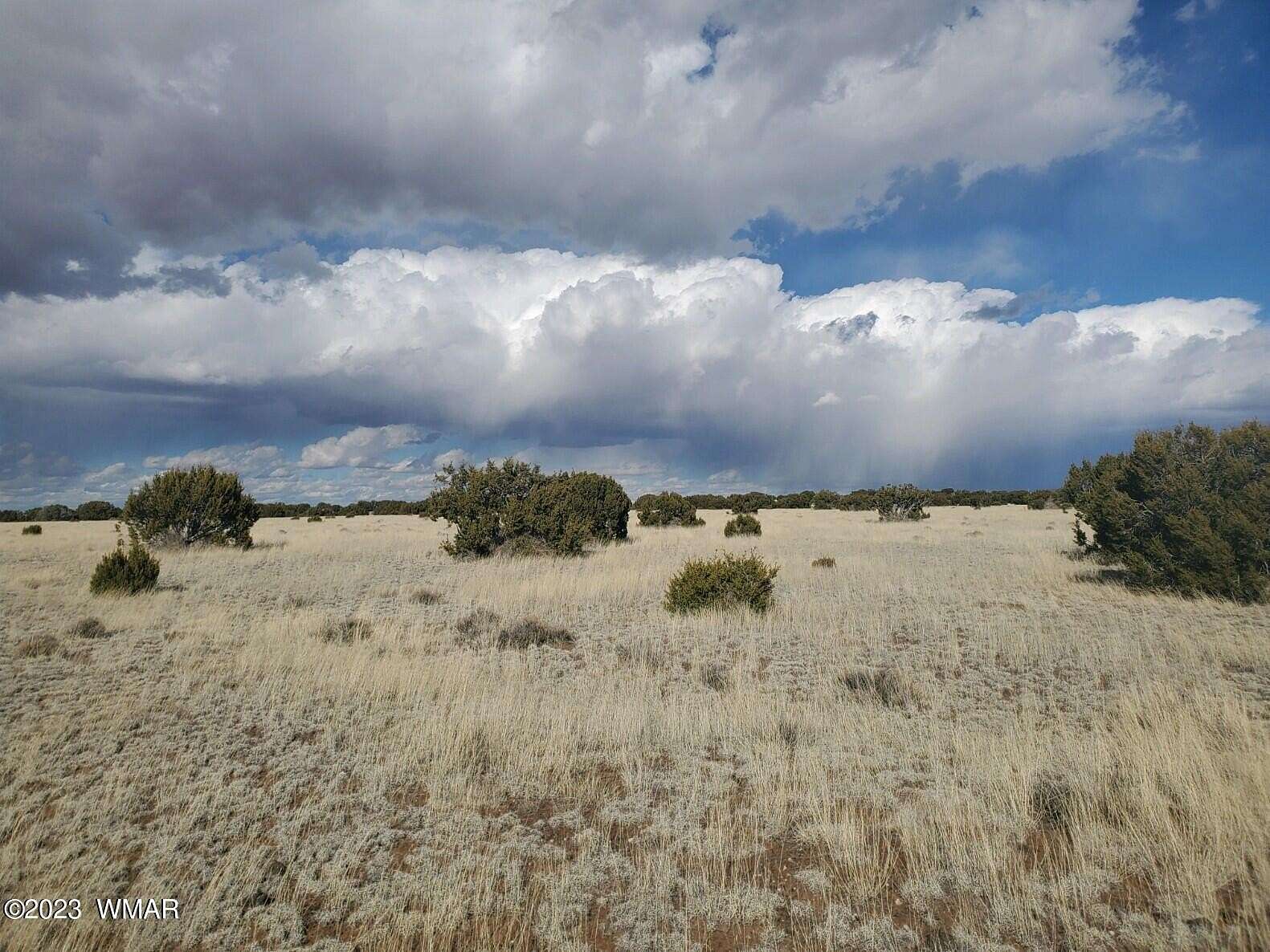 1 Acre of Residential Land for Sale in Concho, Arizona