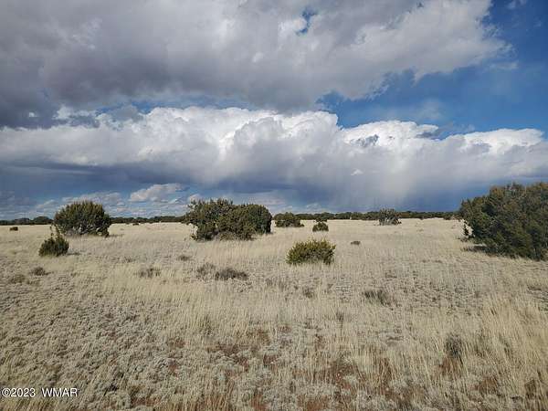 1 Acre of Residential Land for Sale in Concho, Arizona