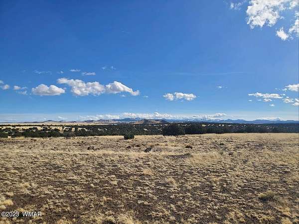 1 Acre of Residential Land for Sale in Concho, Arizona