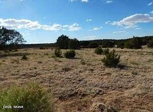 1 Acre of Residential Land for Sale in Concho, Arizona