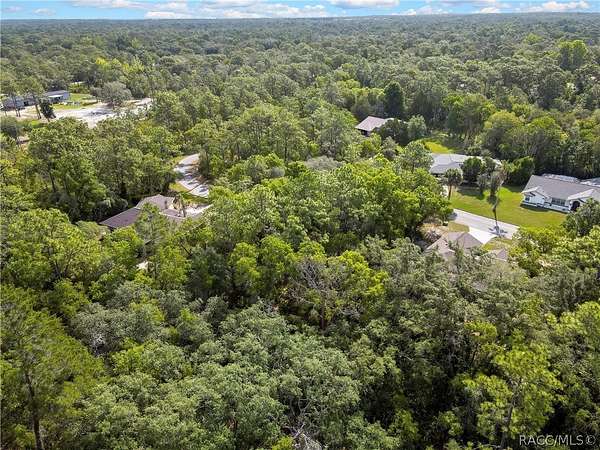 0.35 Acres of Residential Land for Sale in Homosassa, Florida