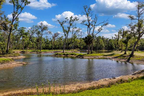 103 Acres of Recreational Land with Home for Sale in Steinhatchee, Florida