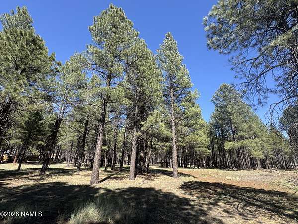 2 Acres of Residential Land for Sale in Flagstaff, Arizona